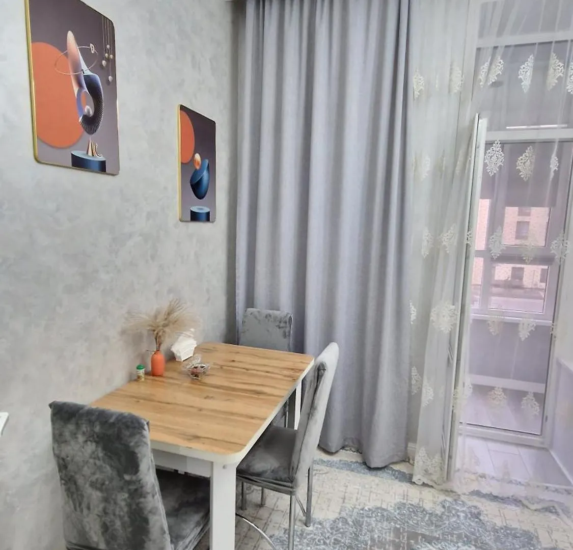Comfortable flat Nur-Sultan  0*, Nur-Sultan (Astana)