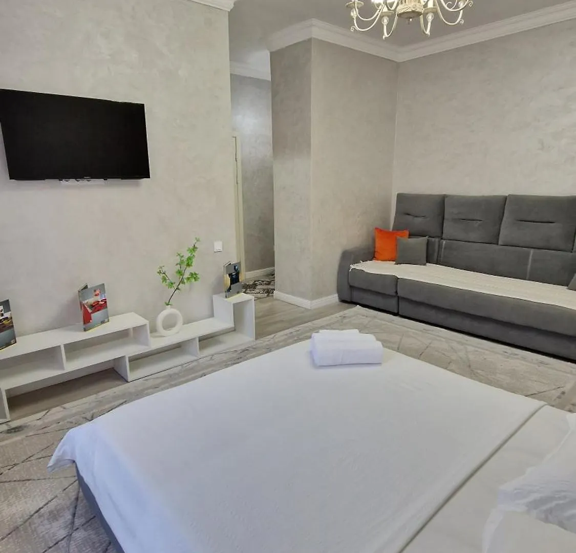 Comfortable flat Nur-Sultan  Nur-Sultan (Astana)